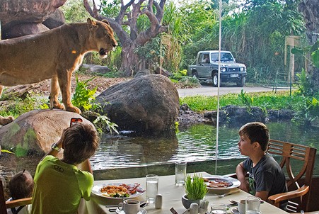 Breakfast with Lions