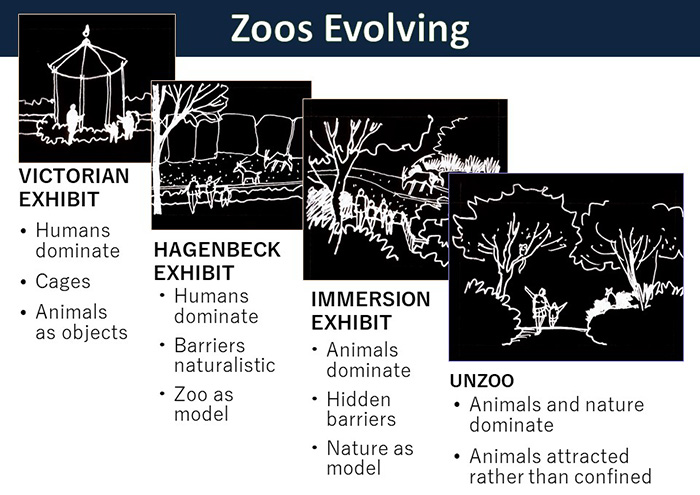 Evolving Zoo Exhibition diagram
