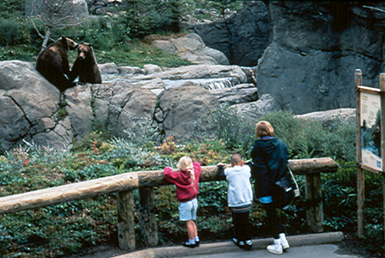 Bears Exhibit 🐻, Village Center, Linden Zoo 🌳 Part 7